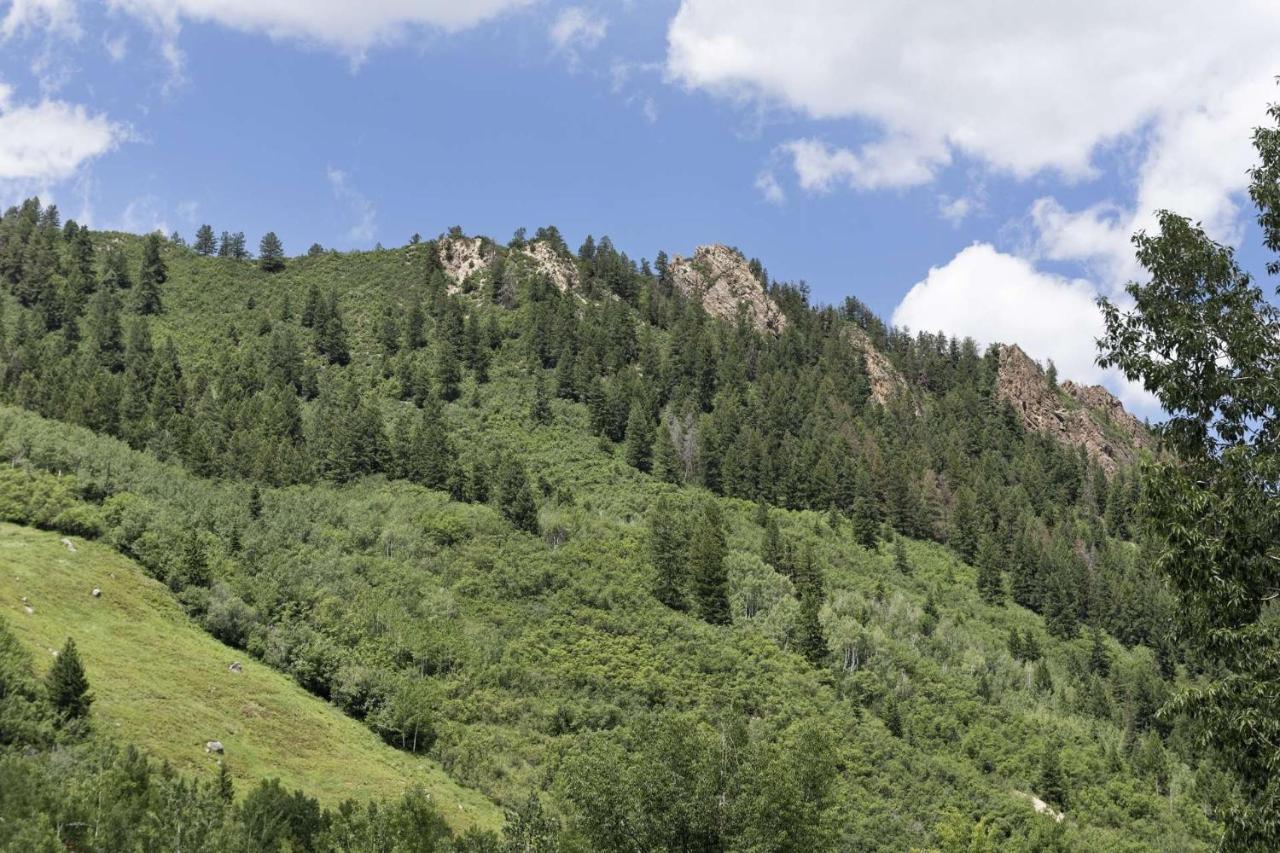 Durant 6d Сasa de vacaciones Aspen