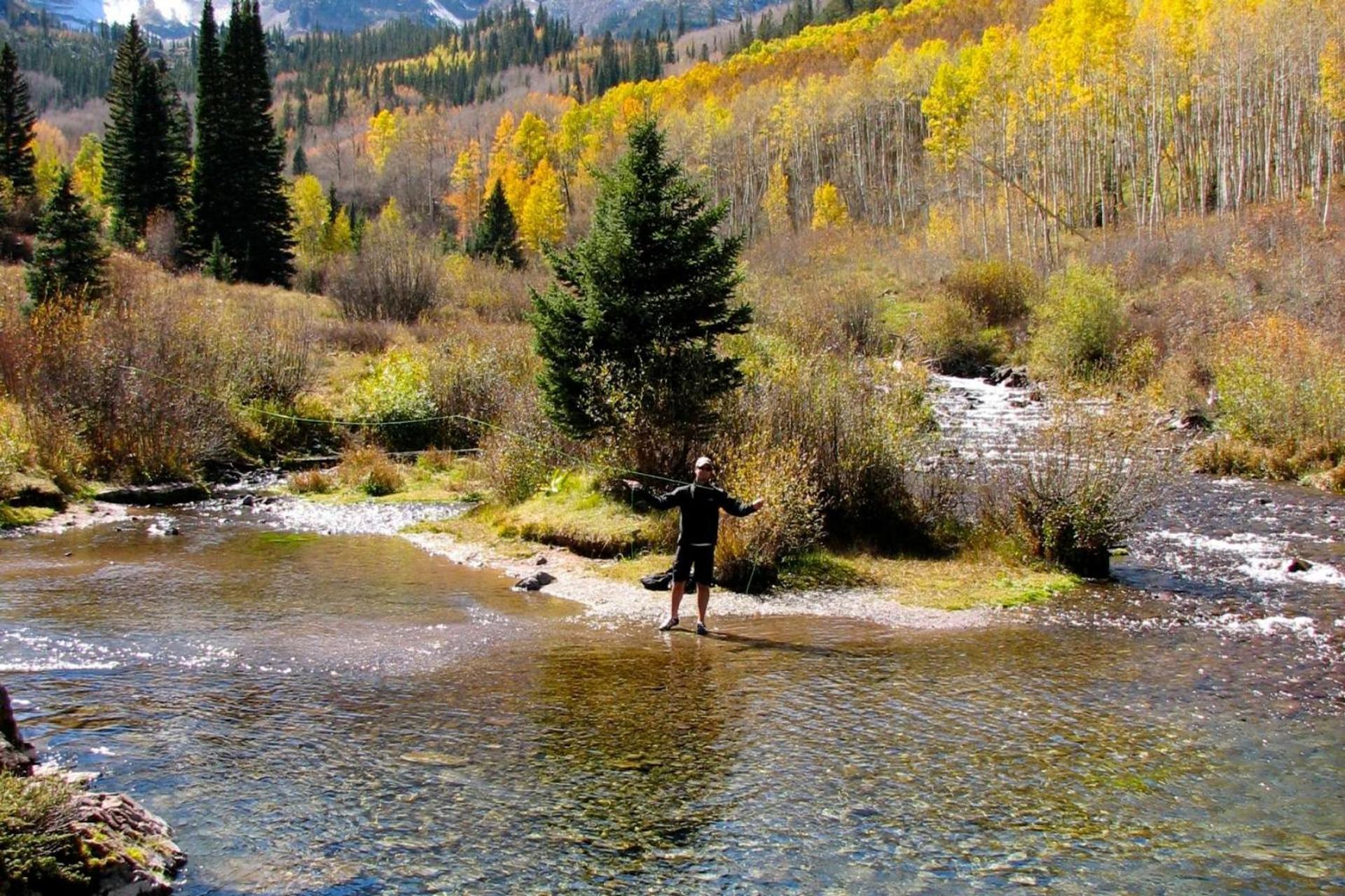 Durant 6d Сasa de vacaciones Aspen